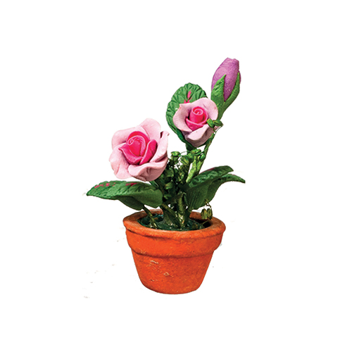 Violet and Pink Roses